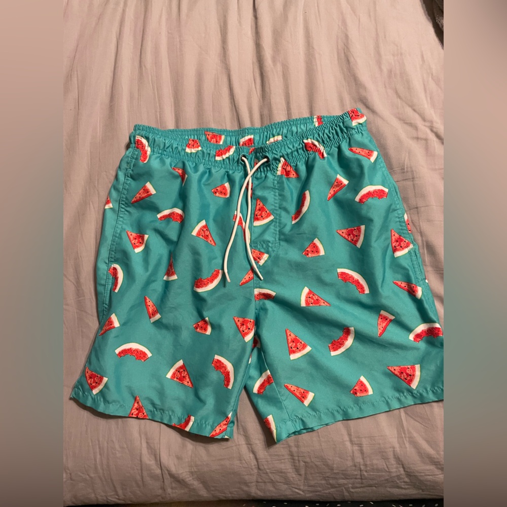 Old Navy Teal Swim Trunks with Watermelon Print